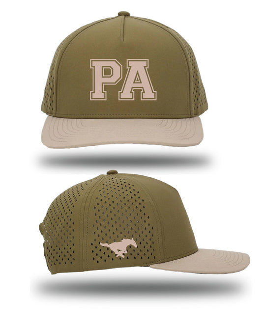 Hydrilla & Sand Pantano Cap